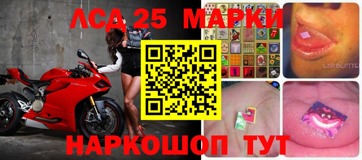 гидра онион  Вход с VPN  Нерюнгри  Лсд 25 экстази кислота 